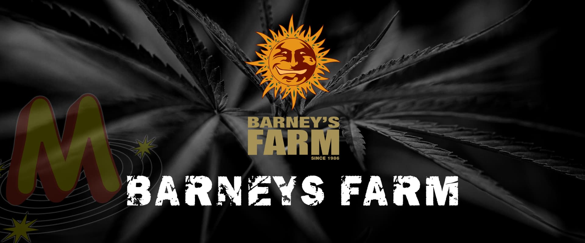 barneys_farm_banner_seeds