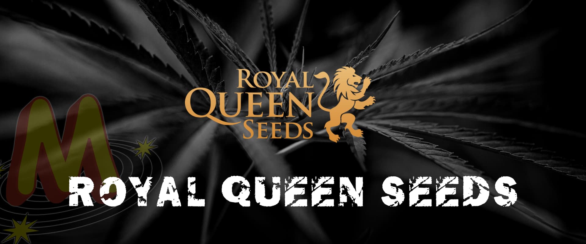royal_queen_seeds_banner_seeds
