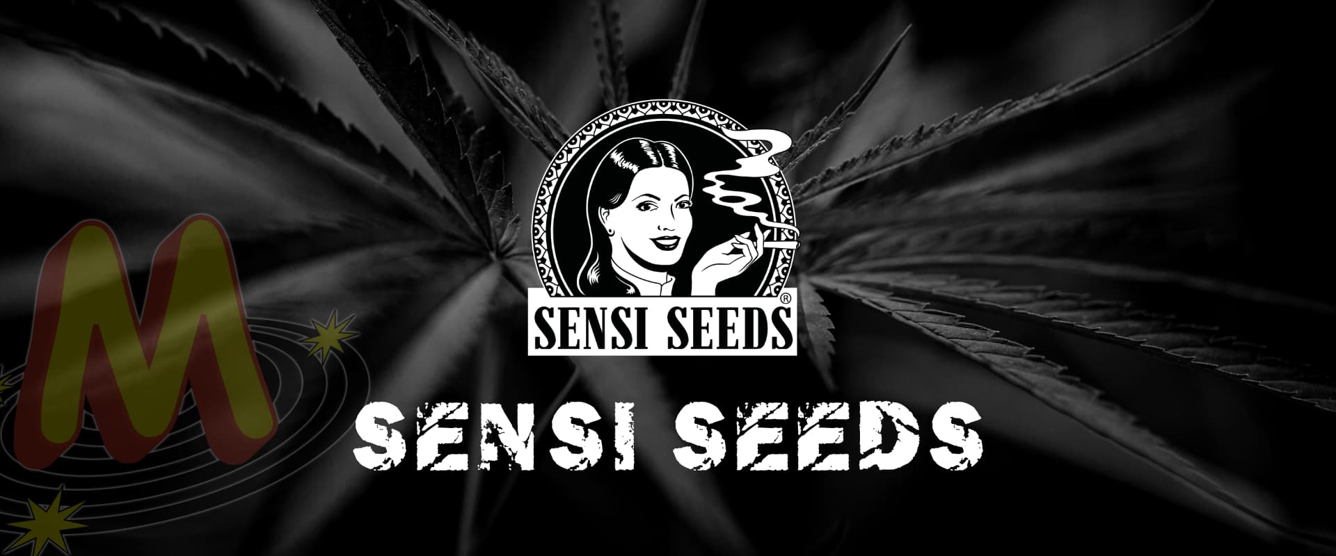 sensi_seeds_banner_seeds