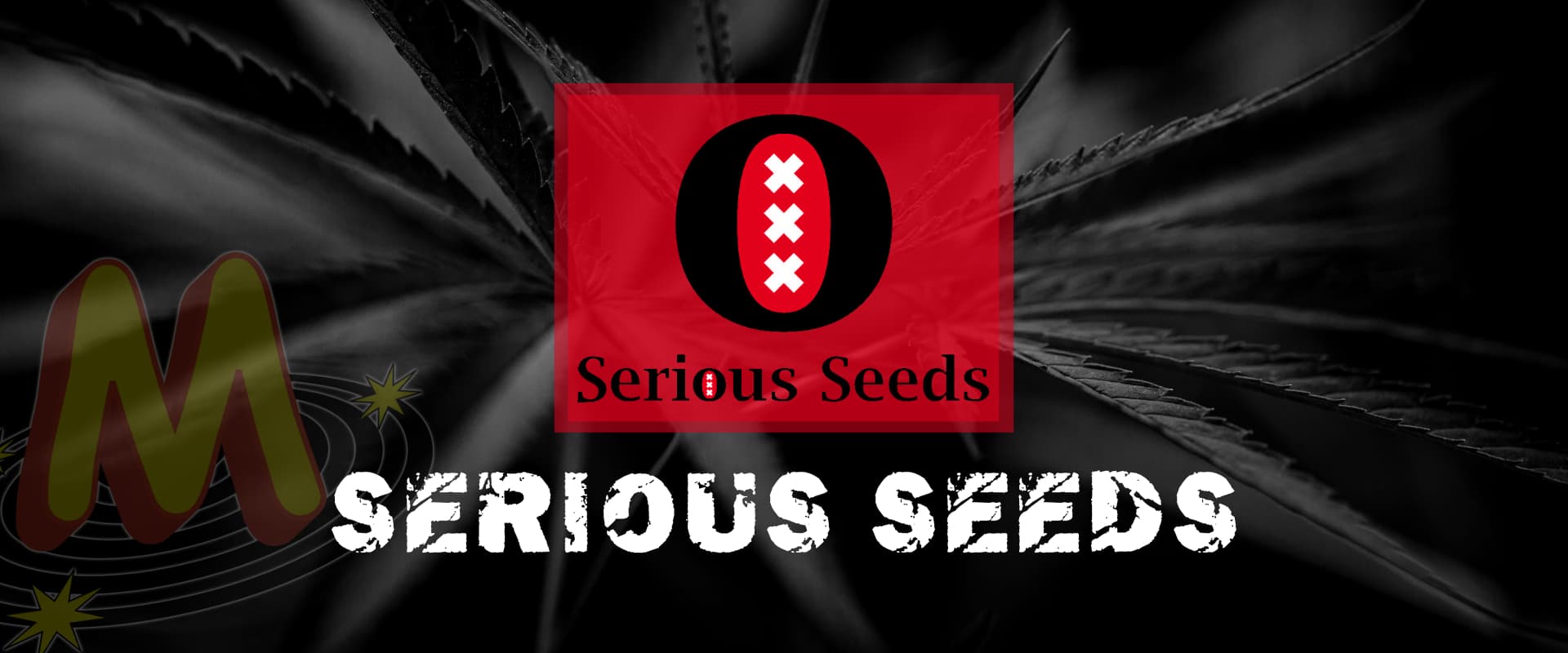 serious_seeds_banner_seeds