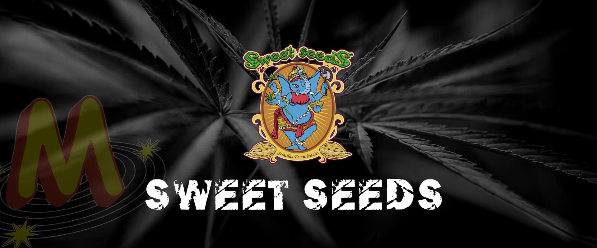 sweet_seeds_banner