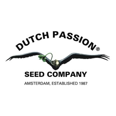 Dutch Passion - 35 Jahre Erfahrung -...