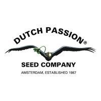 Dutch-Passion