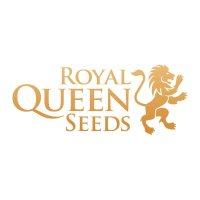 Royal-Queen-Seeds