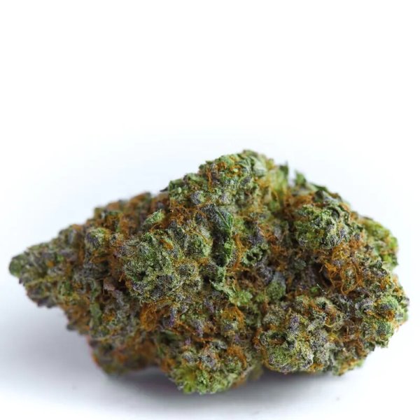 Growers Choice Blue Forest Berry