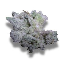 Growers Choice Brain Damage