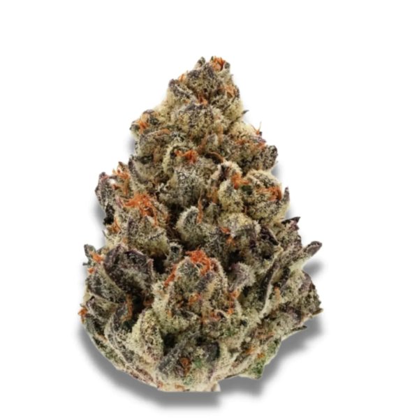 Growers Choice Bruce Banner III