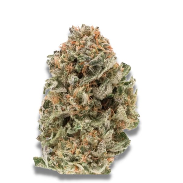 Growers Choice Mighty Amstel Freezland M.A.F.