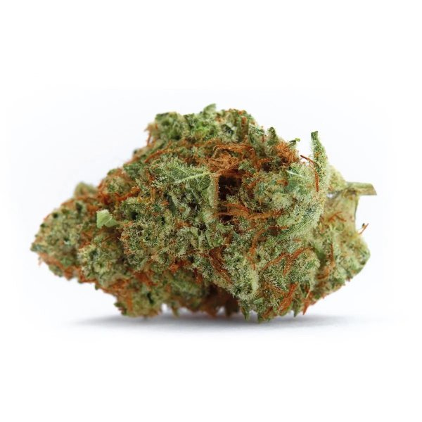 Growers Choice Naranja Biscotti Fast Version