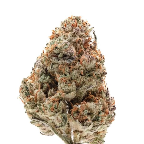 Growers Choice Silver Grape Sherbet