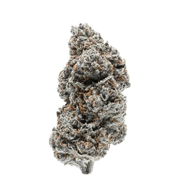 Growers Choice Tangarine Sherbet