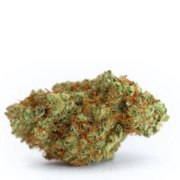 Growers Choice Wild Fire Gelato