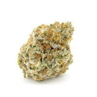 Growers Choice Forbidden Runtz Double XL Auto