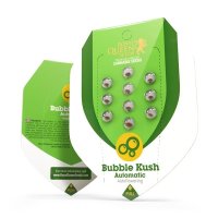 Royal Queen Seeds Bubble Kush autofem 5er