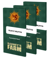 Barneys Farm Runtz Muffin female 5er